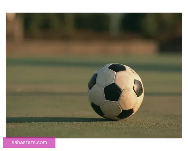 沙巴体育买球攻略分享安全稳定高效体验新手必看指南全面解析技巧推荐