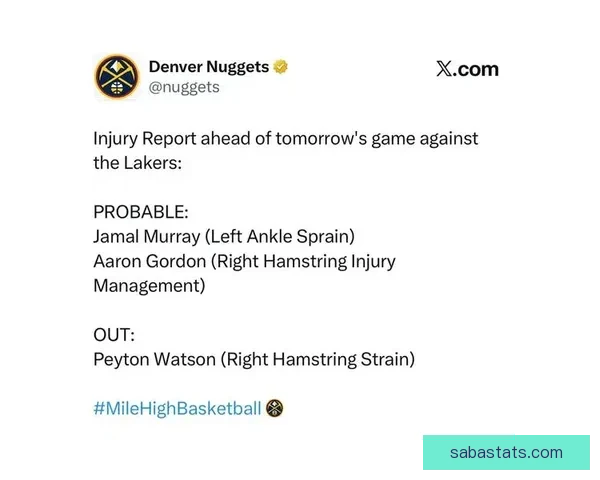 掘金主帅透露沃特森因腿筋伤势每日观察 出战情况逐周评估